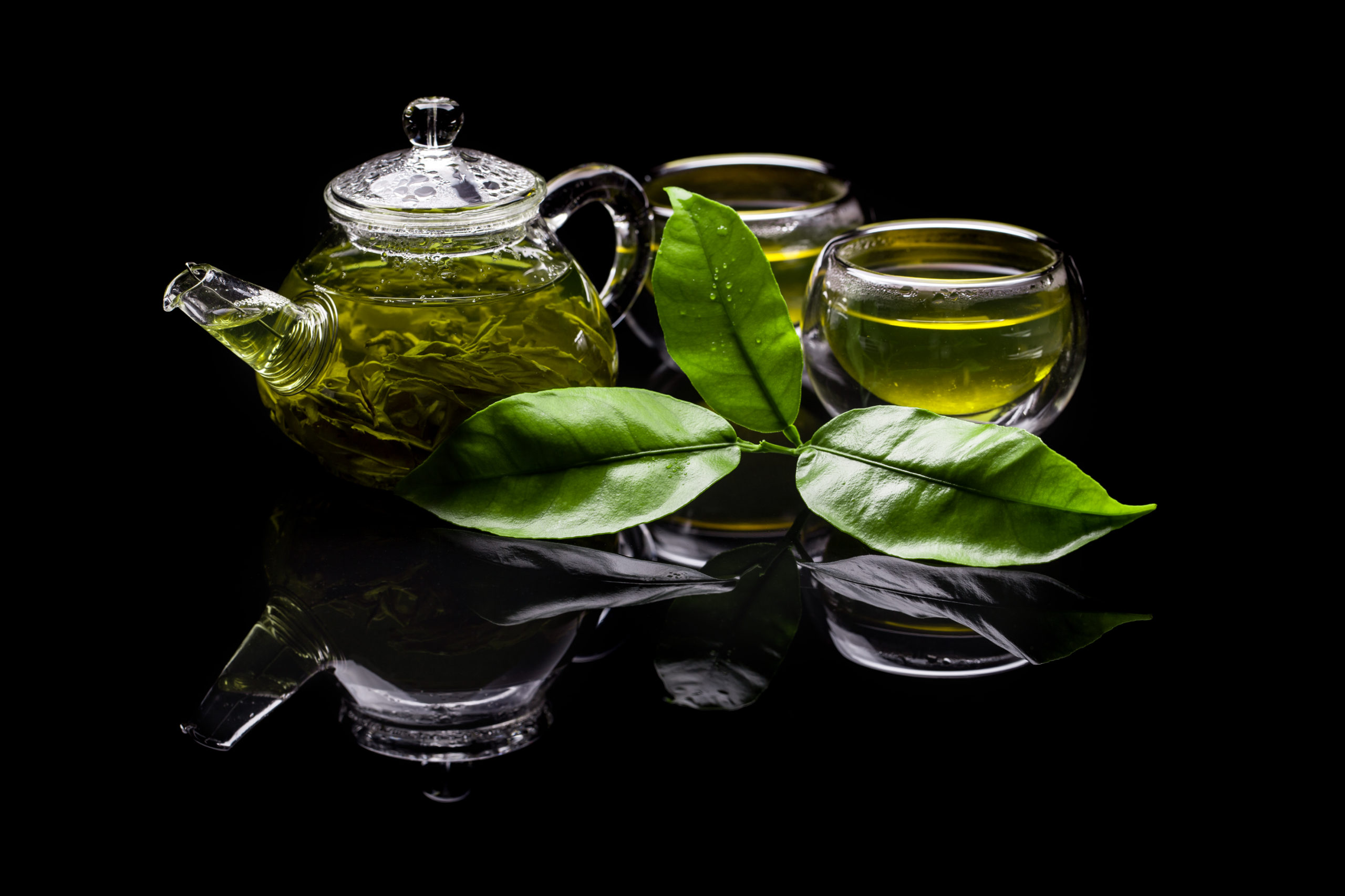 Green Tea Extract