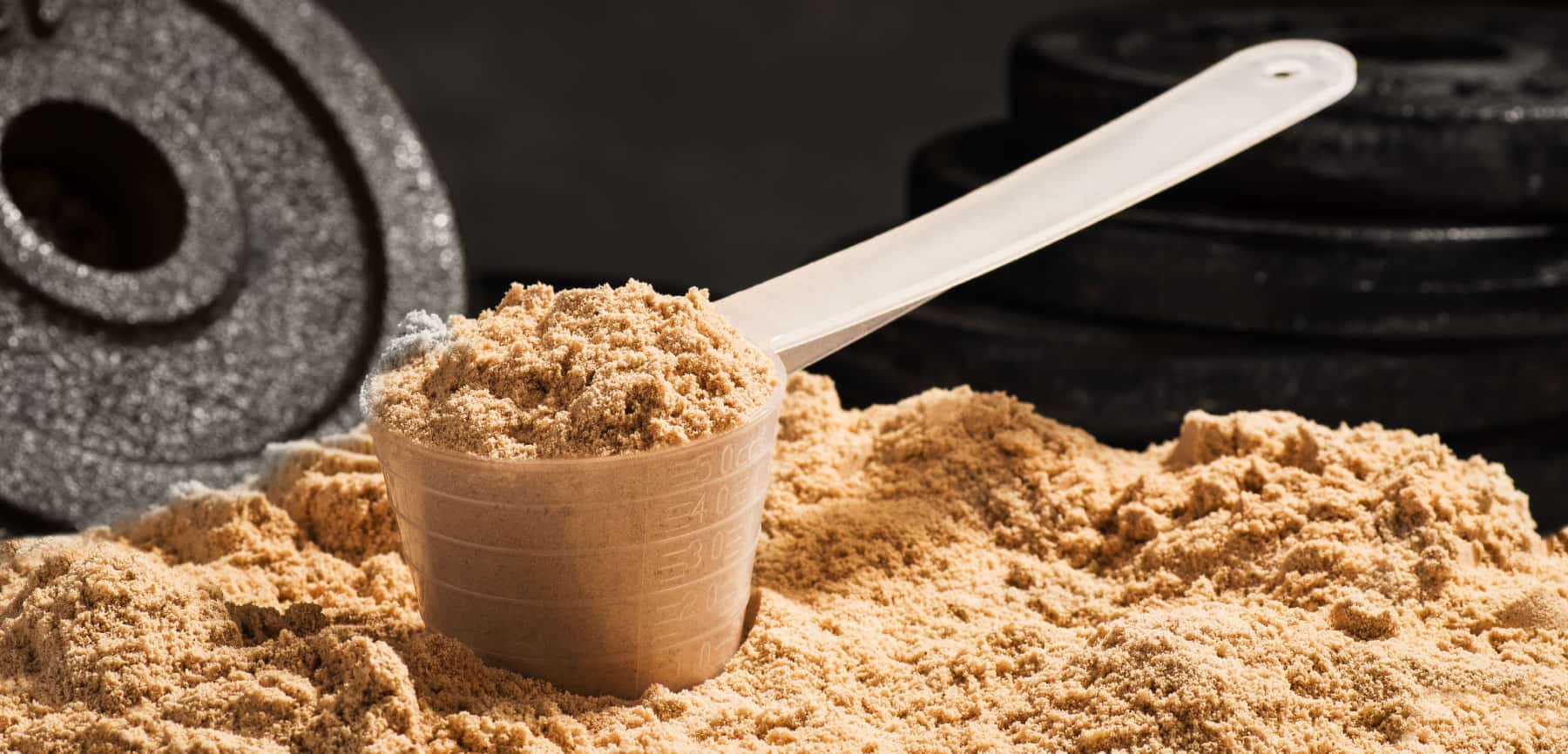 The 13 Best Protein Powders: Whey, Casein, Vegan, and More