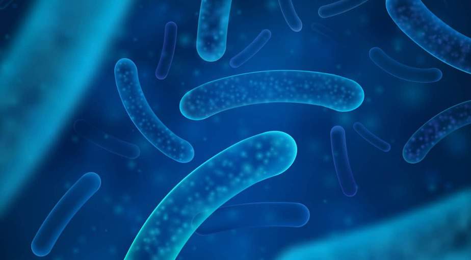 best probiotic for men