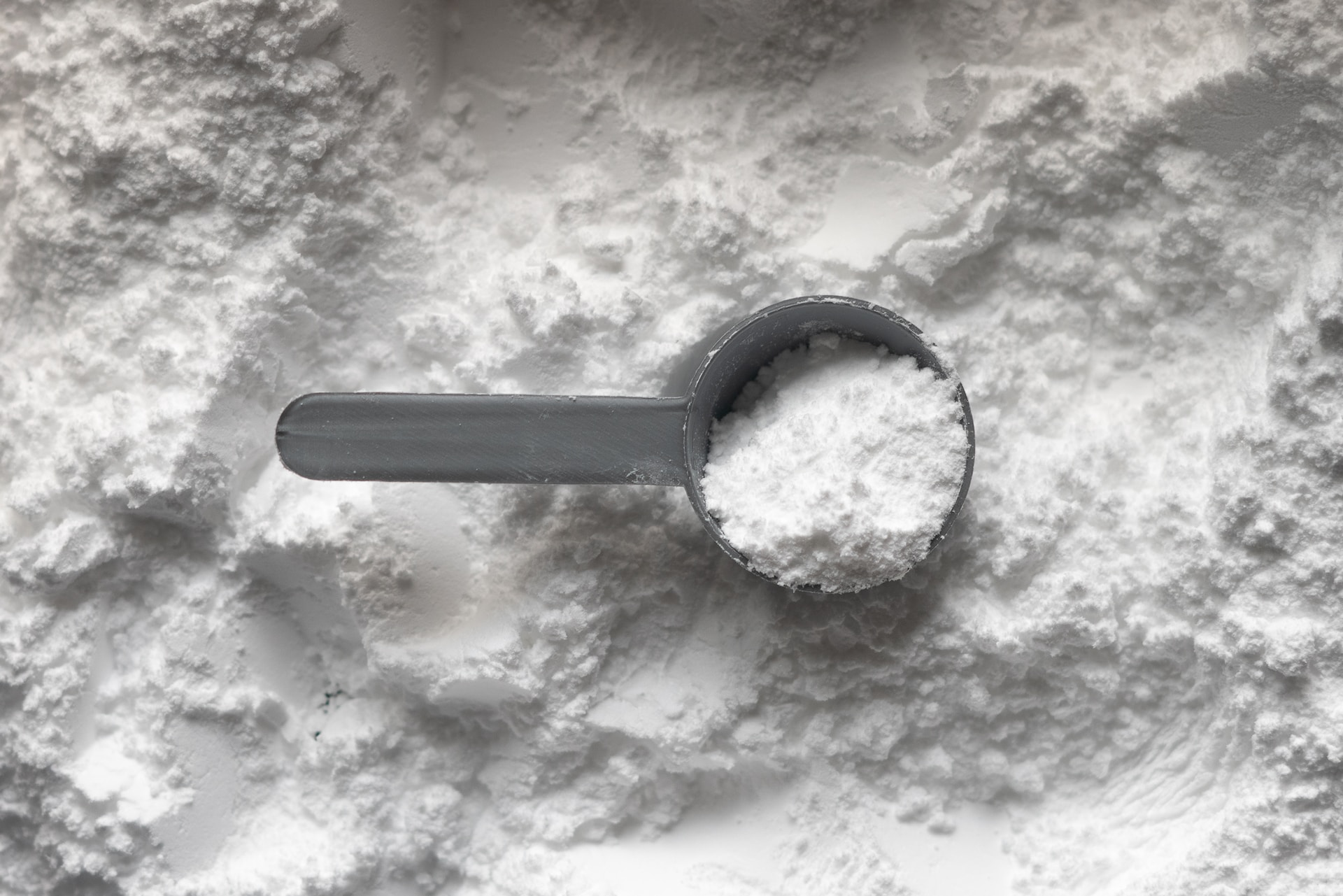 A gray scoop filled with white protein powder on top of a protein powder