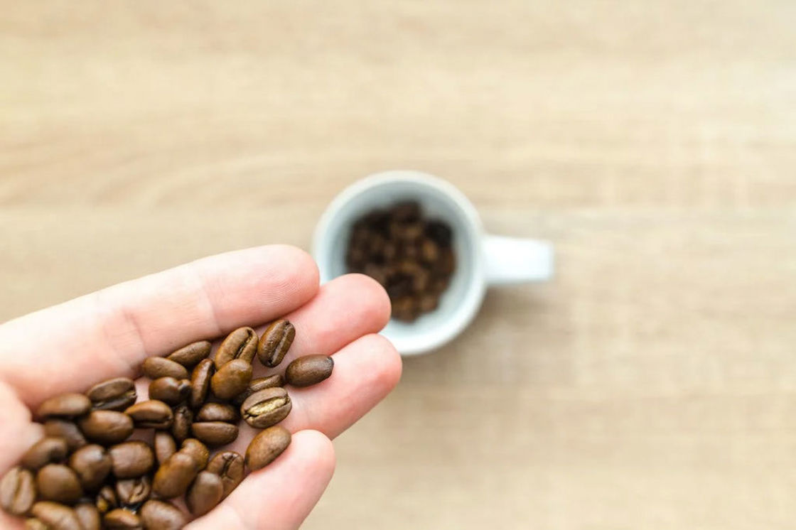 Hand holding coffee beans from a white coffee cup